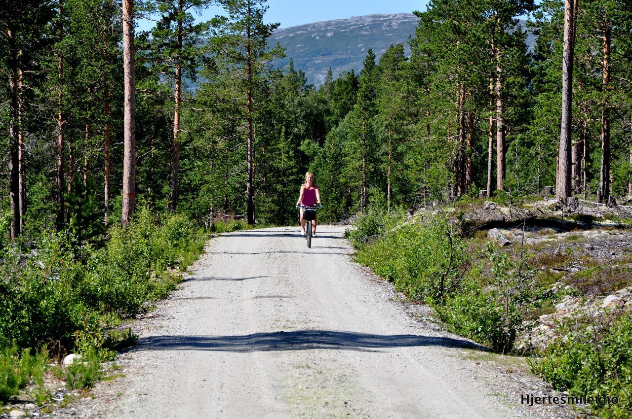 Campsite Lesjaskogsvatnet *